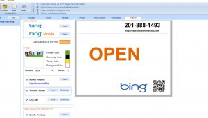 Bing Business Shoreline
