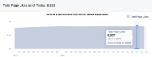 Social Media Marketing, Professionals, NJ, NY, LA, FL