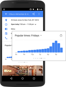 Google Business Popular Times