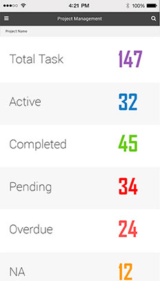 Shoreline Client Portal Project Management