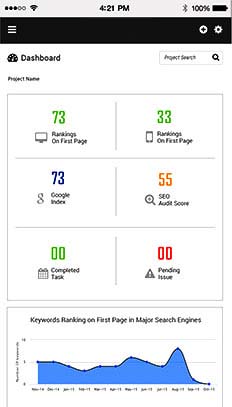 Shoreline Client Portal