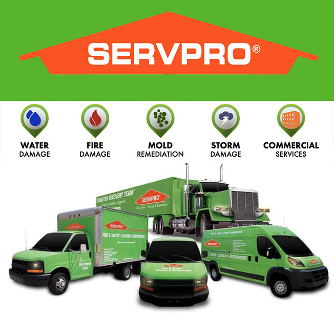 SERVPRO Service Franchise SEO Case Study