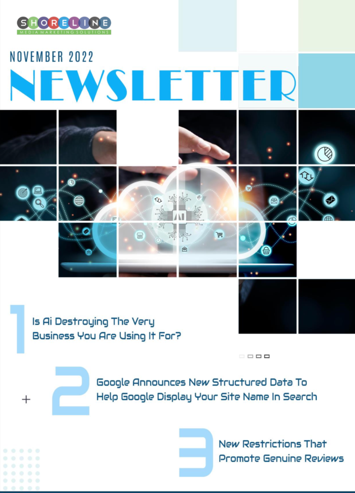 November SEO Newsletter